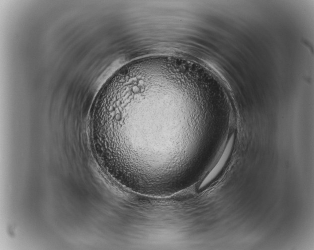 X0000102270899200808011425