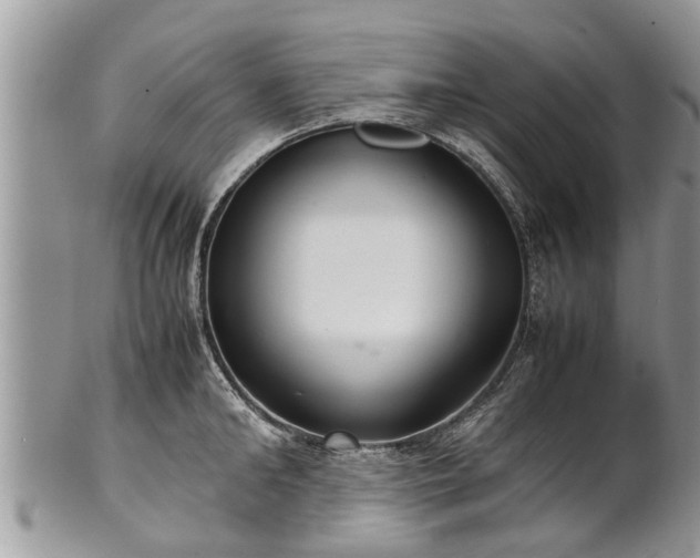 X0000102270902200808011425