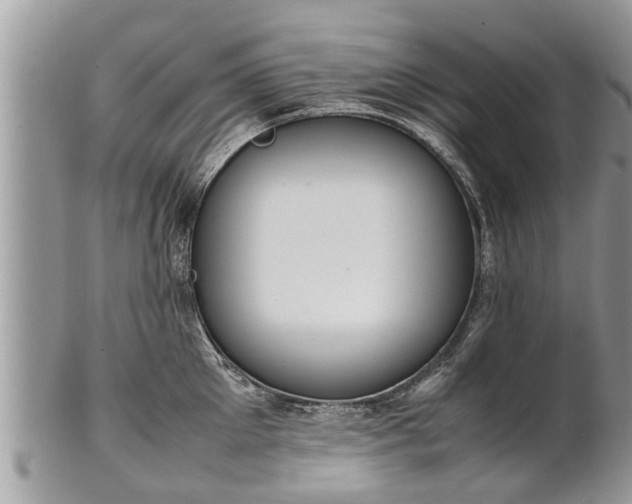 X0000102270905200808011425