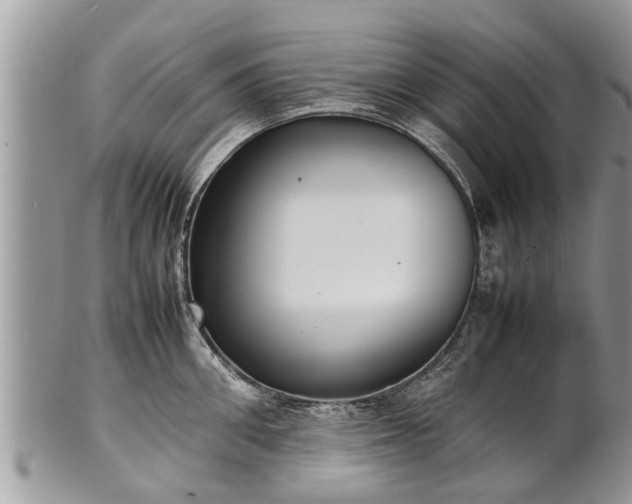 X0000102270906200808011425
