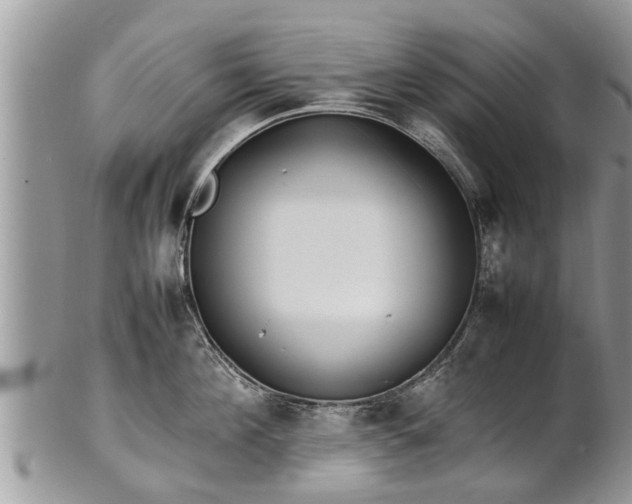 X0000102270908200808011425