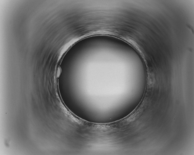 X0000102270910200808011424