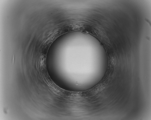 X0000102270914200808011424