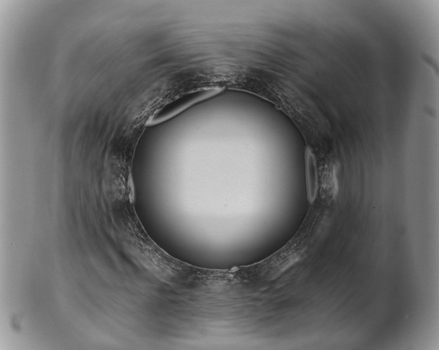 X0000102270916200808011424