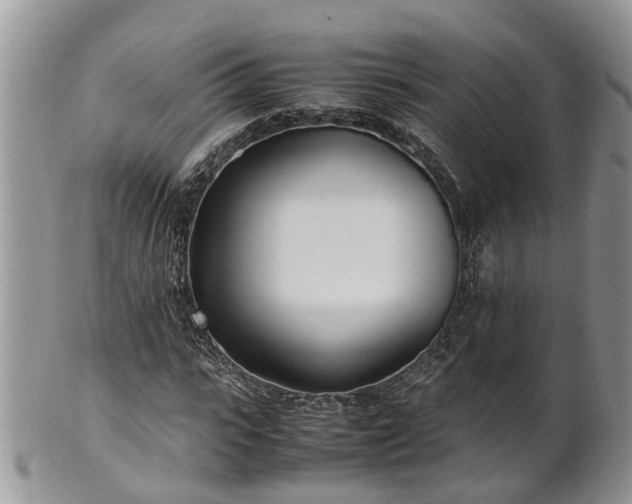 X0000102270919200808011424