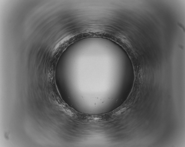 X0000102270920200808011424