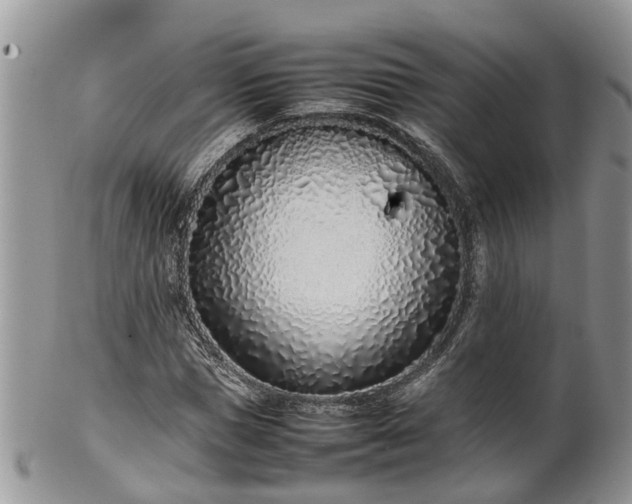 X0000102270921200808011424