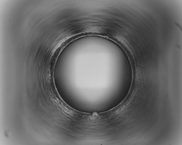 X0000102270923200808011424