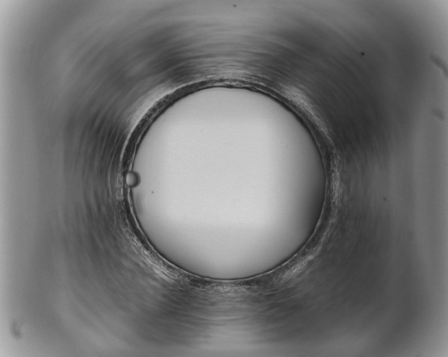 X0000102270924200808011424