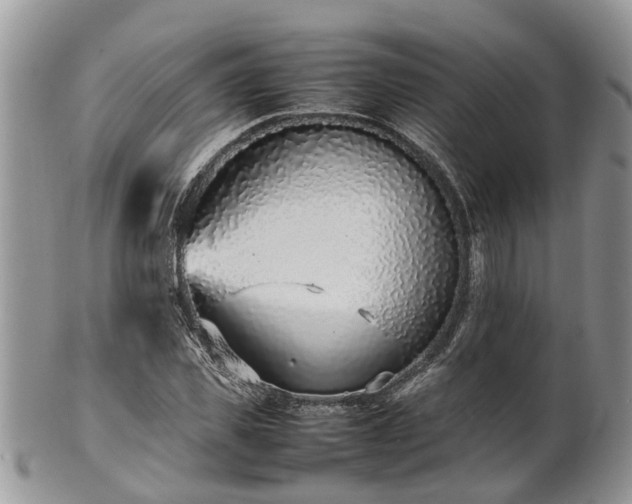 X0000102270925200808011424