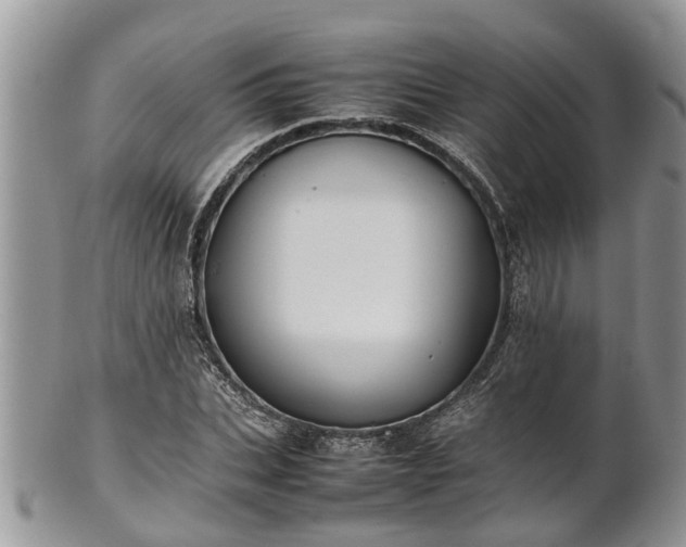 X0000102270927200808011424
