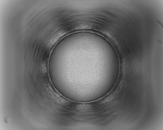 X0000102270929200808011424
