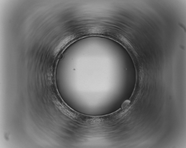X0000102270930200808011424