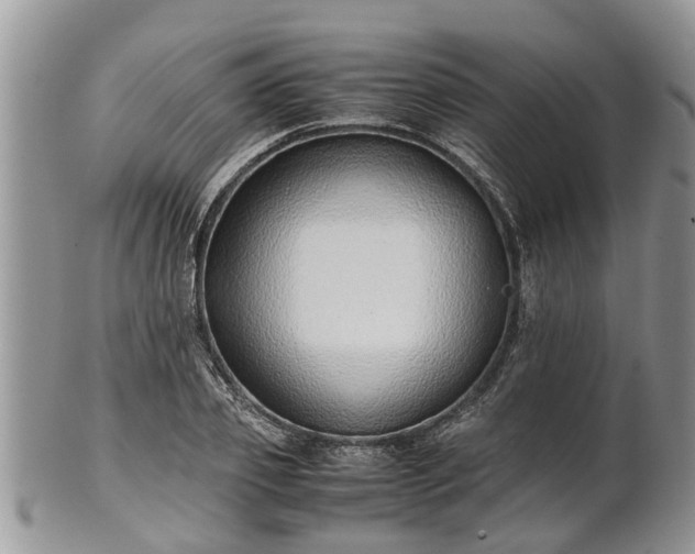 X0000102270933200808011424