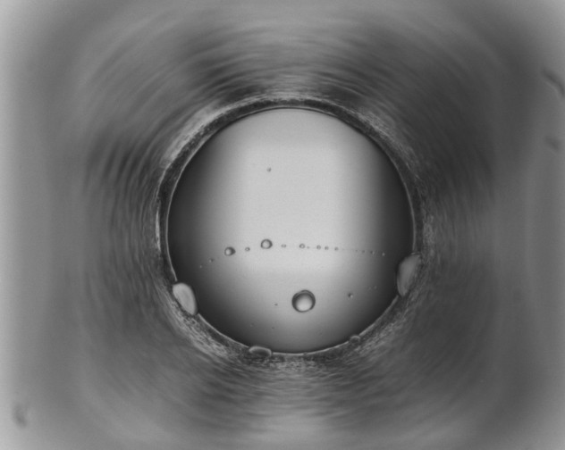 X0000102270934200808011424