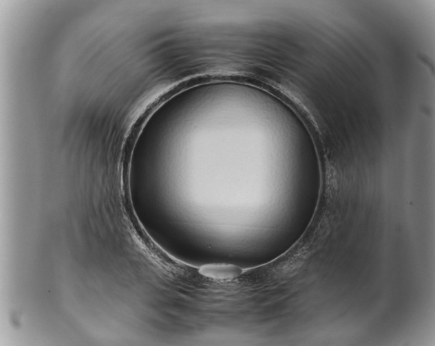 X0000102270935200808011424