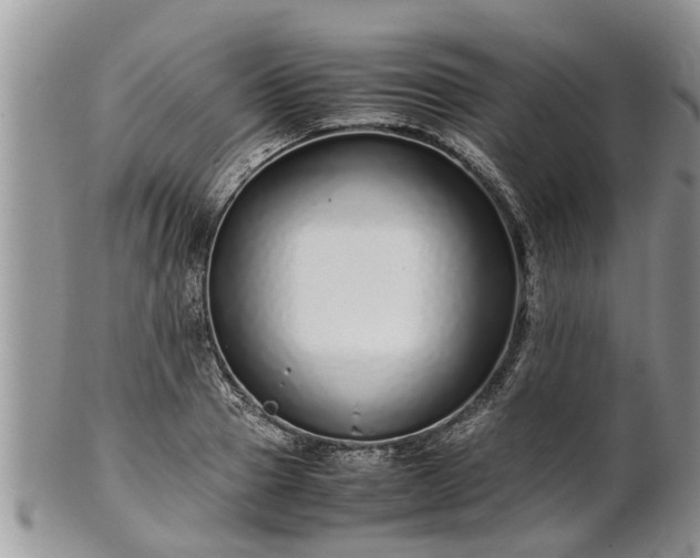 X0000102270937200808011424