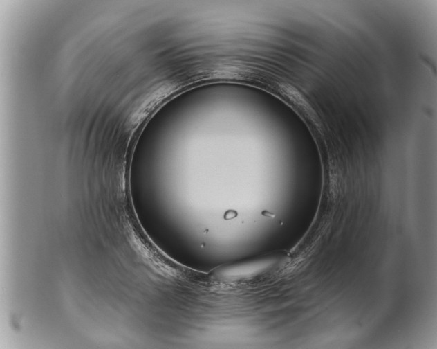 X0000102270938200808011424