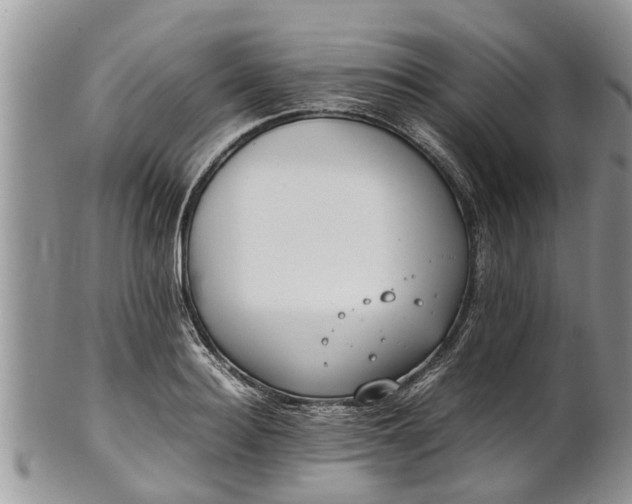 X0000102270940200808011424