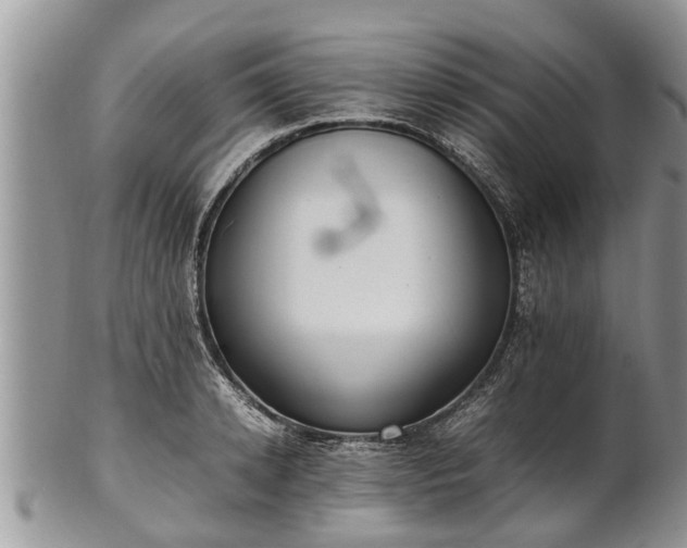 X0000102270942200808011424