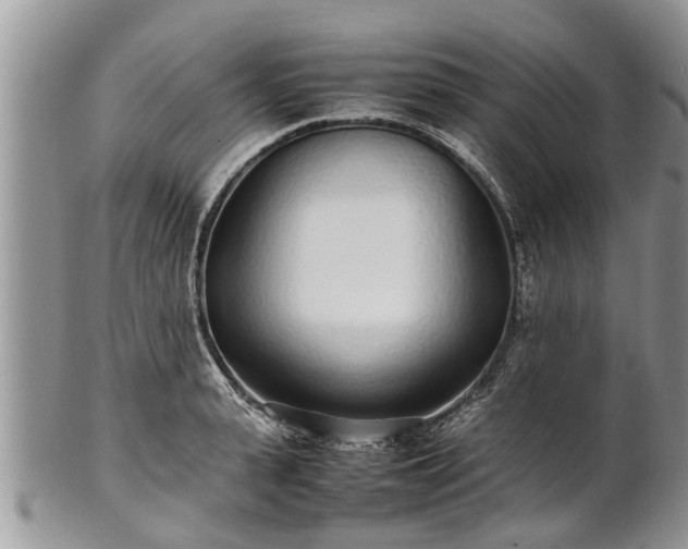X0000102270943200808011424