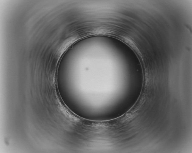 X0000102270946200808011424
