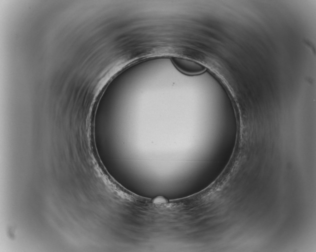 X0000102270949200808011424