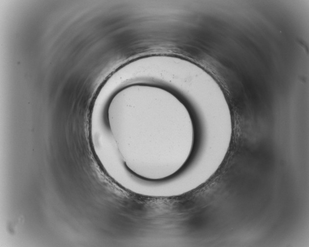 X0000102270950200808011424