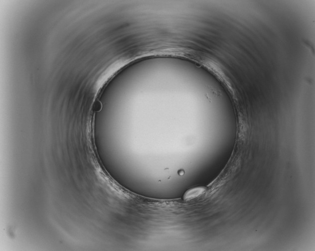 X0000102270952200808011424
