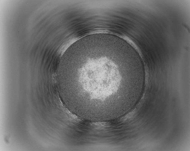 X0000102270953200808011424