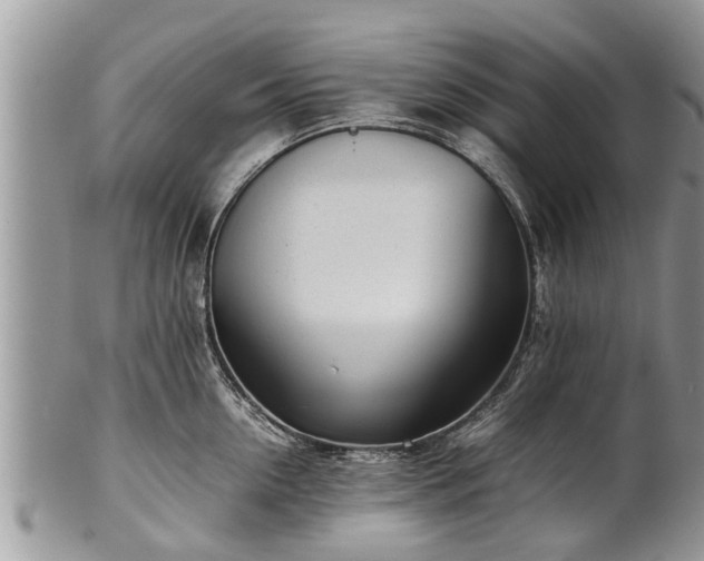 X0000102270954200808011424