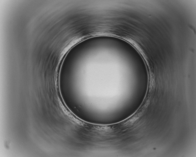 X0000102270957200808011424