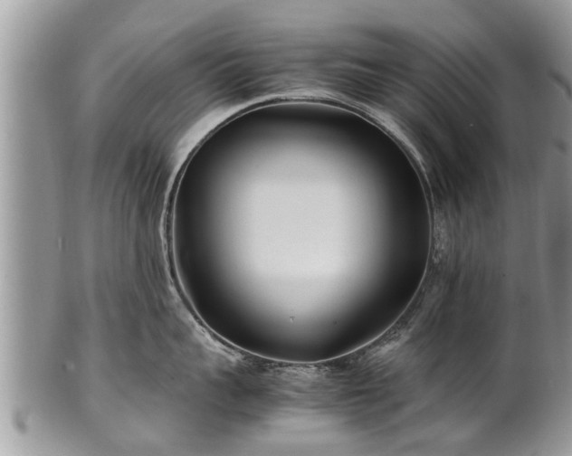 X0000102270959200808011424