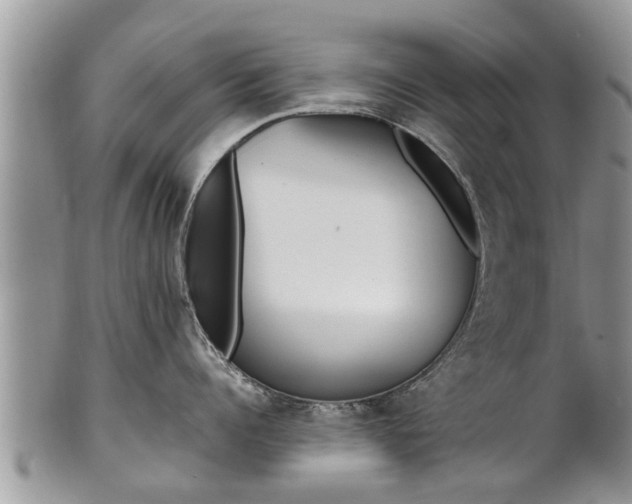 X0000102270960200808011424