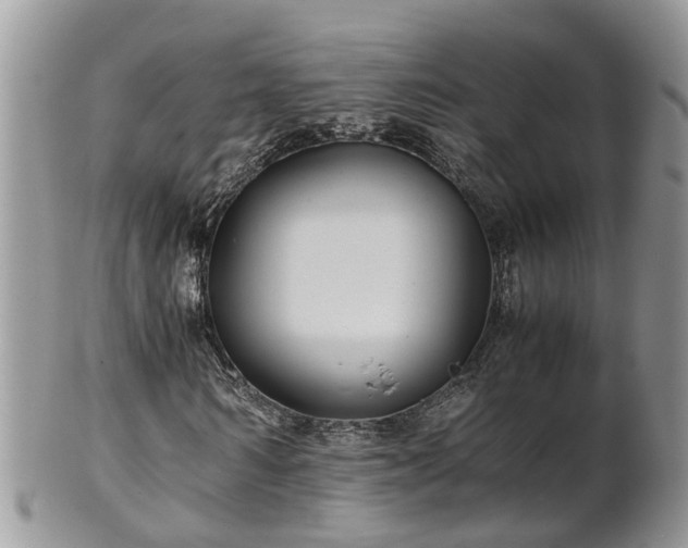 X0000102270962200808011424