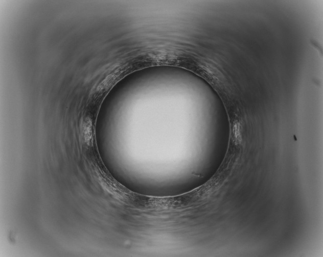 X0000102270963200808011424