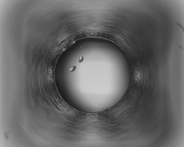 X0000102270964200808011424