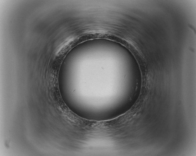 X0000102270967200808011424