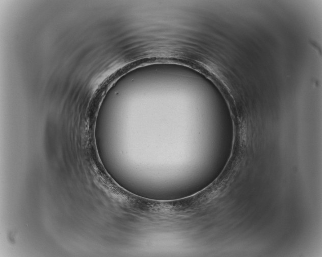 X0000102270971200808011424