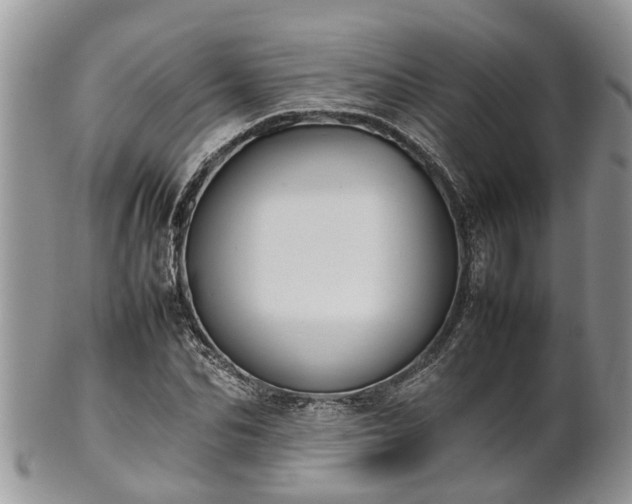 X0000102270974200808011424