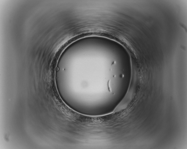 X0000102270975200808011424