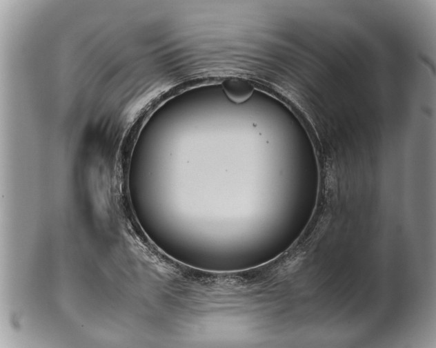 X0000102270979200808011423