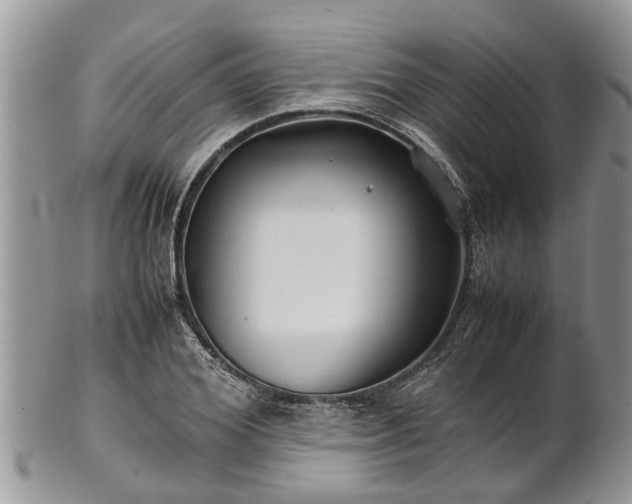 X0000102270980200808011423