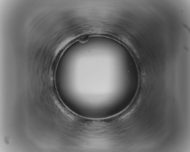 X0000102270981200808011423