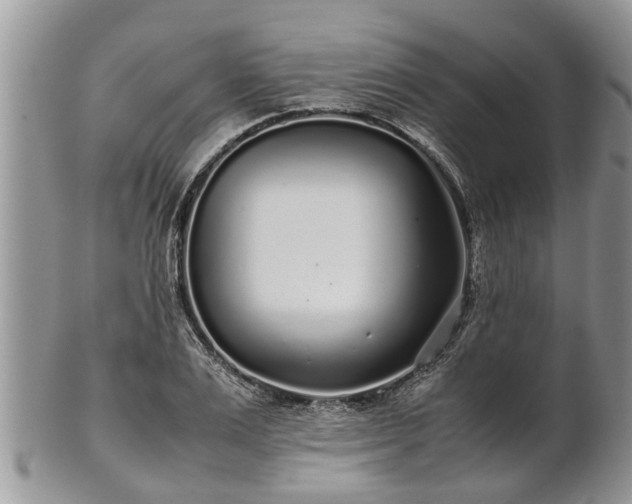 X0000102270983200808011423