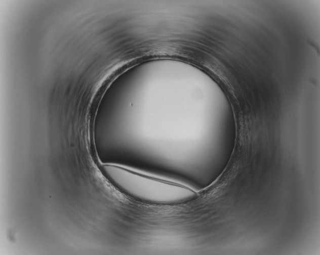 X0000102270984200808011423