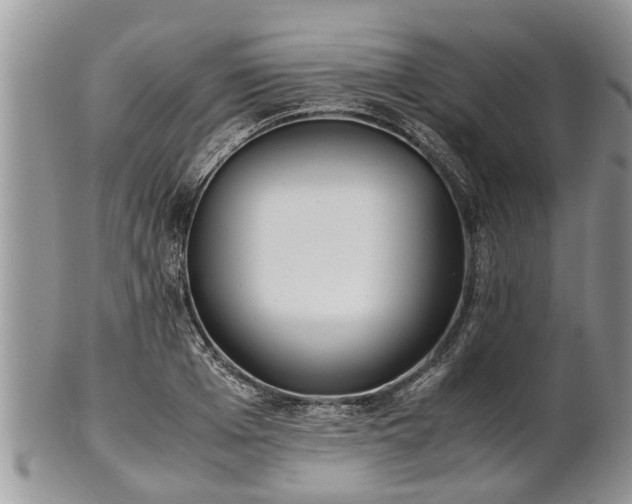 X0000102270985200808011423