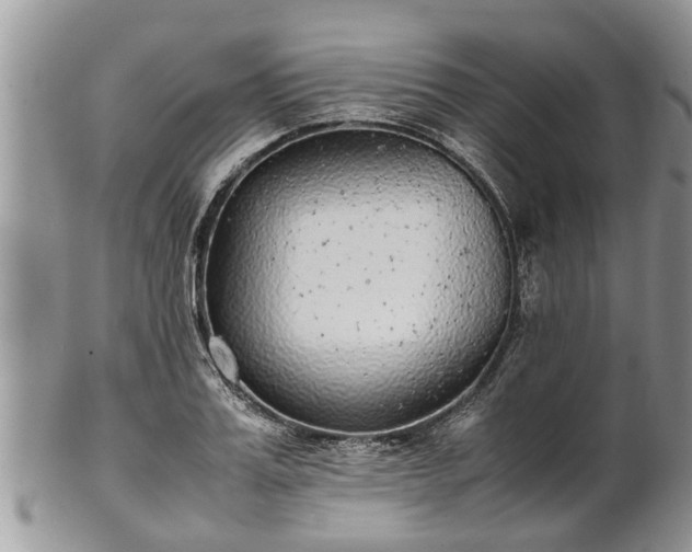 X0000102270987200808011423