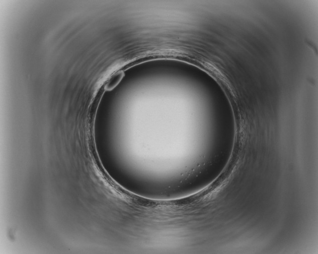 X0000102270989200808011423