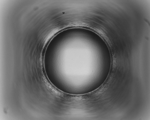 X0000102270990200808011423
